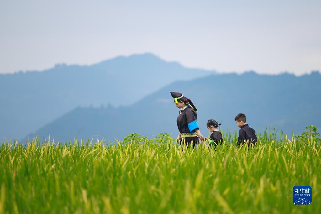 皇冠软件下载
